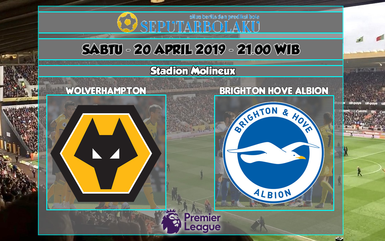 Prediksi Wolverhampton vs Brighton Hove Albion